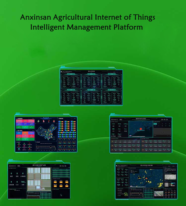 Shandong anxinsan Network Technology Co., Ltd