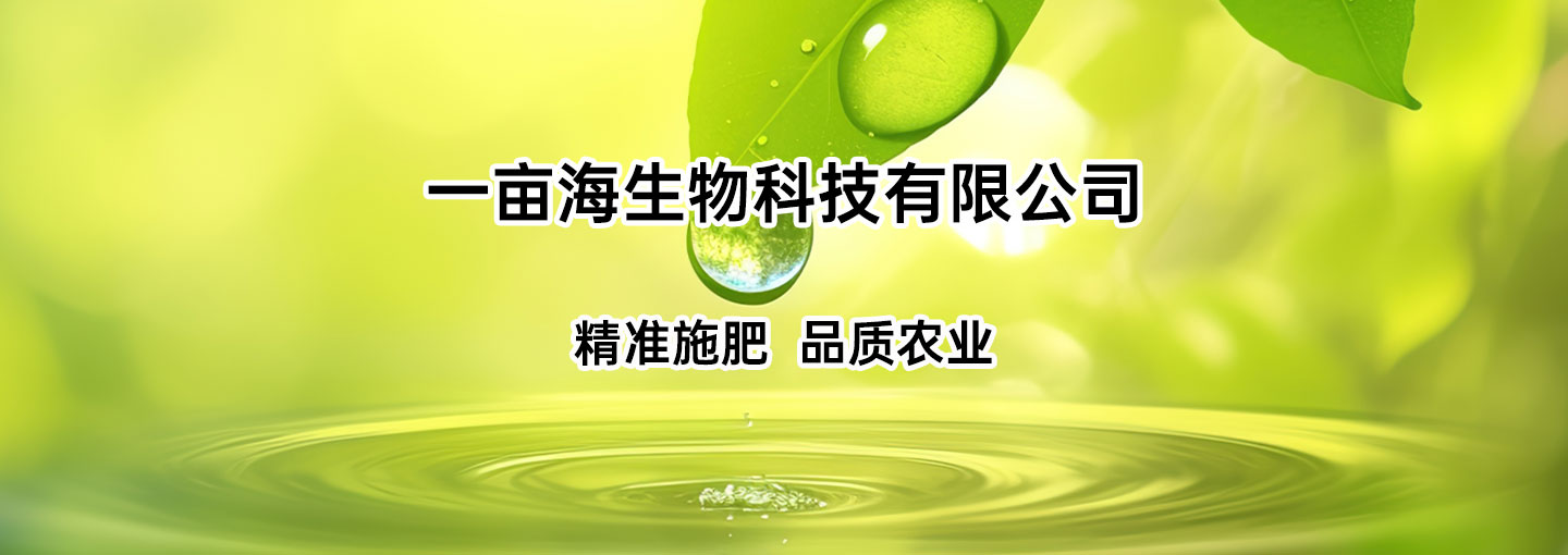 一亩海生物科技有限公司
