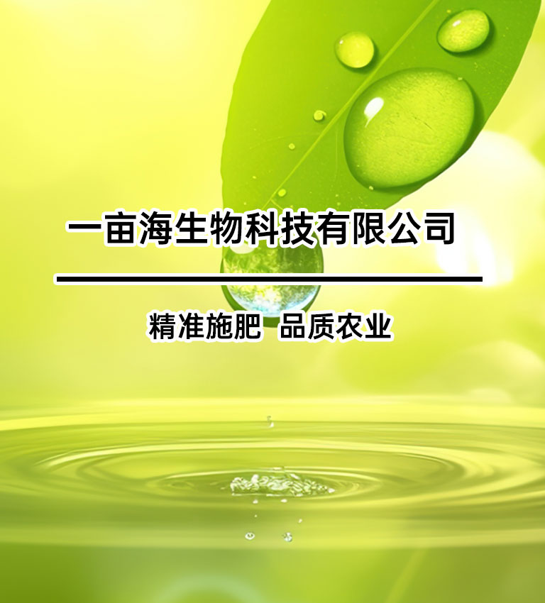 一亩海生物科技有限公司