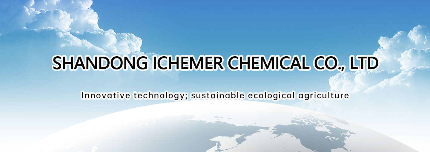 S0handong Ichemer Chemical Co., Ltd.