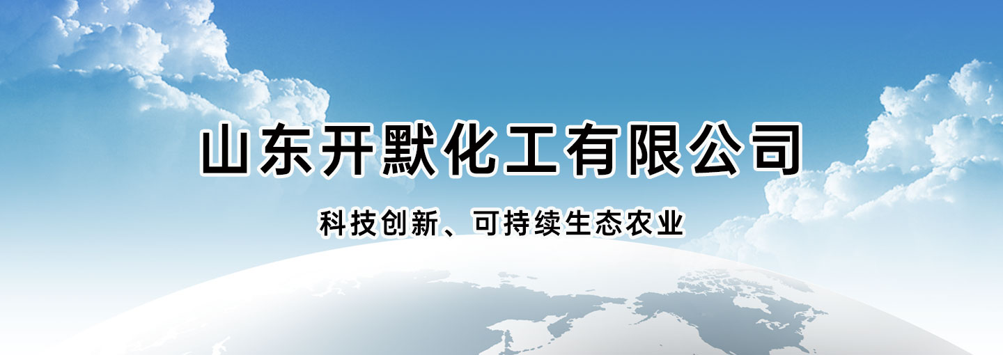 山东开默化工有限公司 