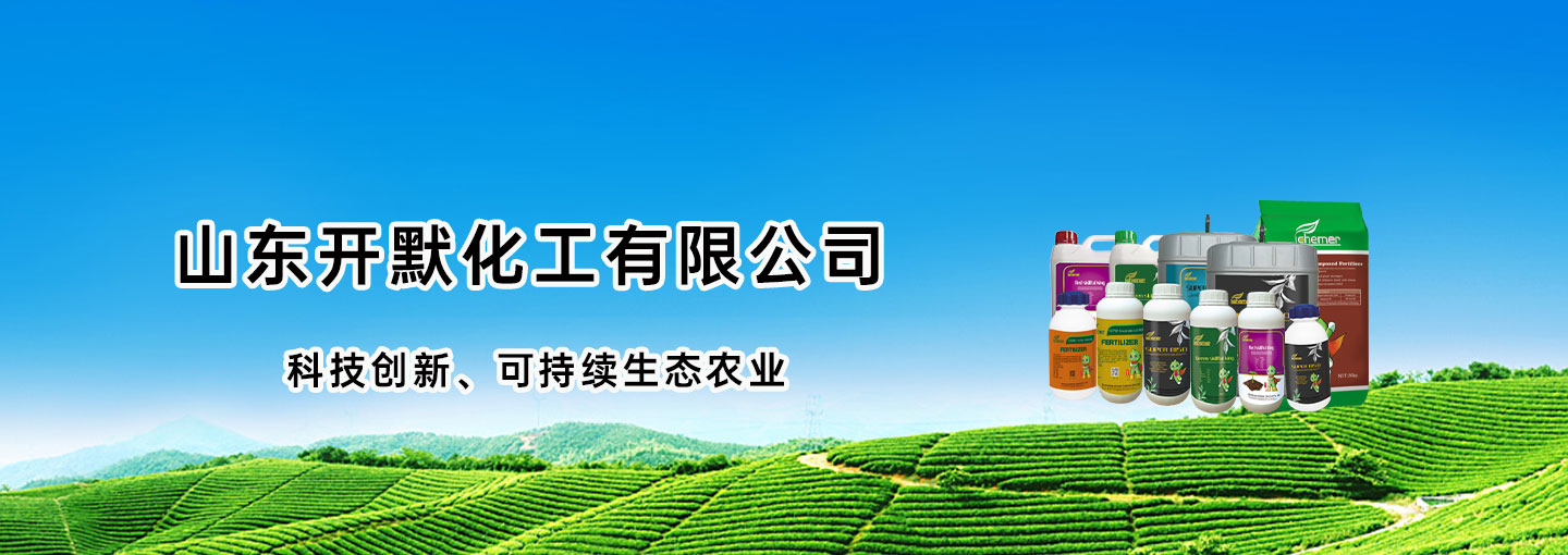 山东开默化工有限公司 