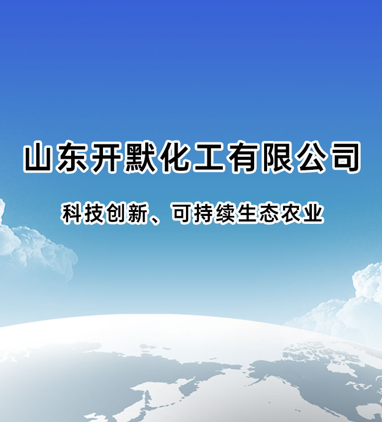 山东开默化工有限公司 