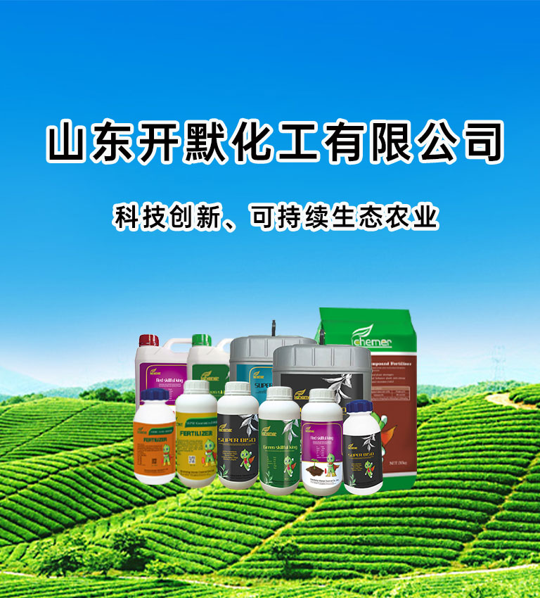 山东开默化工有限公司 