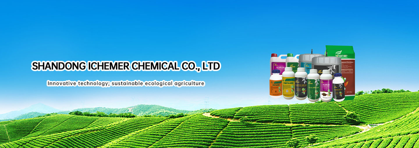 S0handong Ichemer Chemical Co., Ltd.