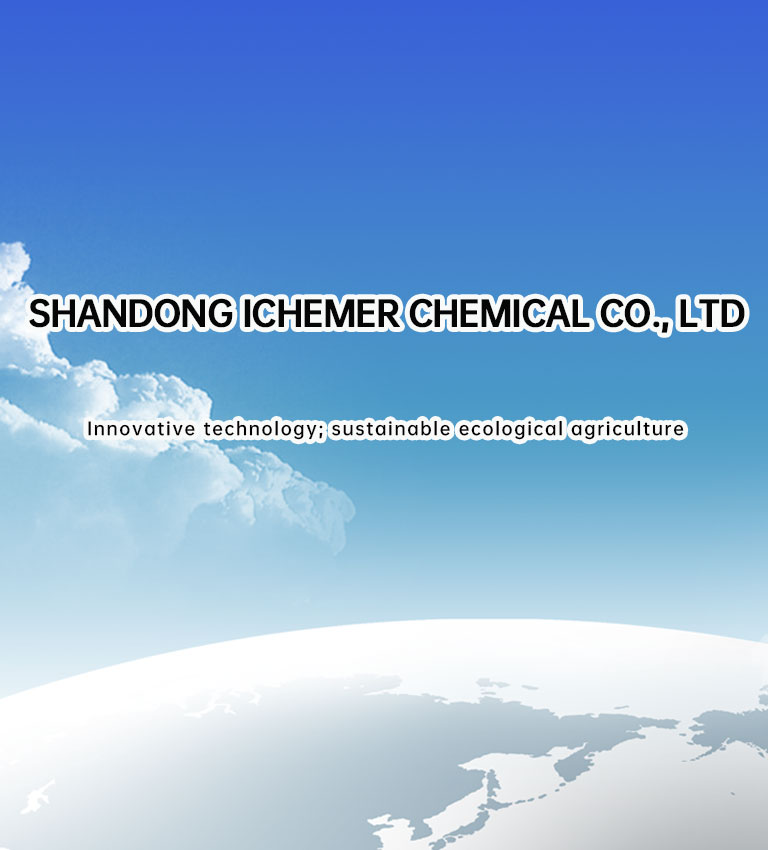 S0handong Ichemer Chemical Co., Ltd.