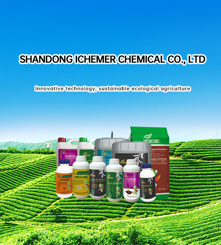 S0handong Ichemer Chemical Co., Ltd.