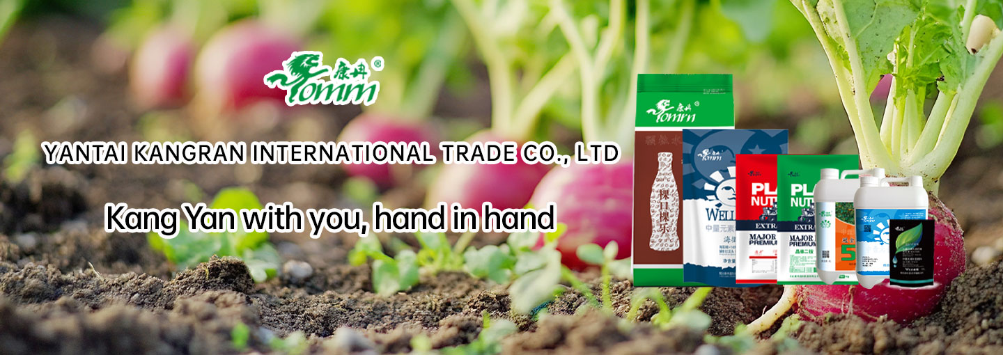 Yantai Kangran International Trade Co., Ltd