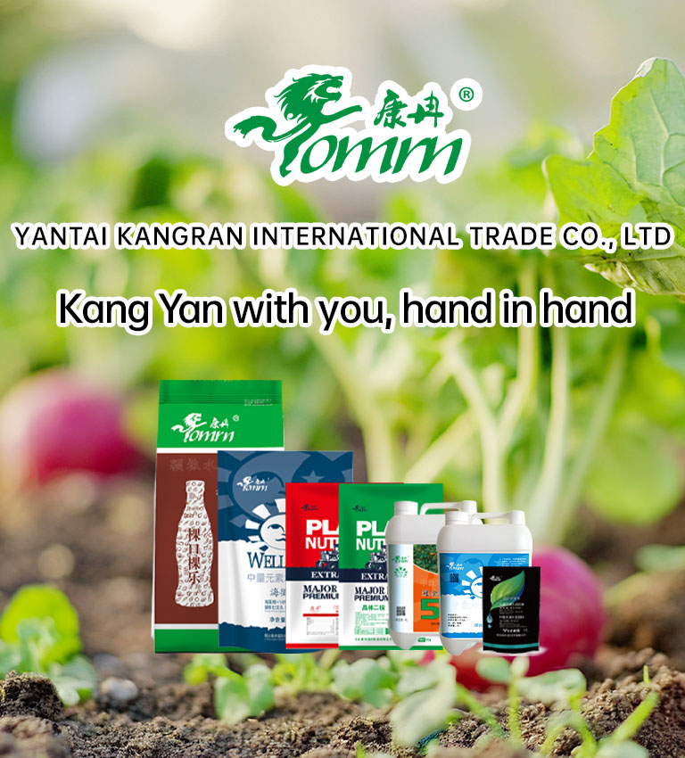 Yantai Kangran International Trade Co., Ltd