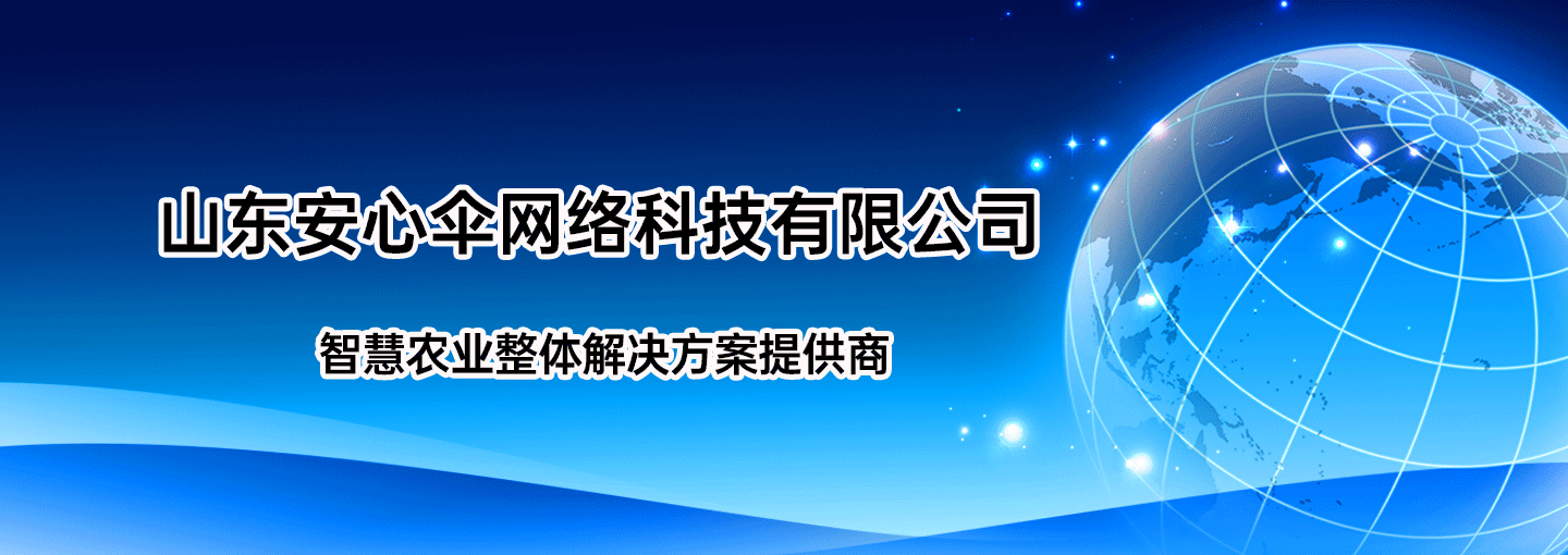 山東安心傘網絡科技有限公司
