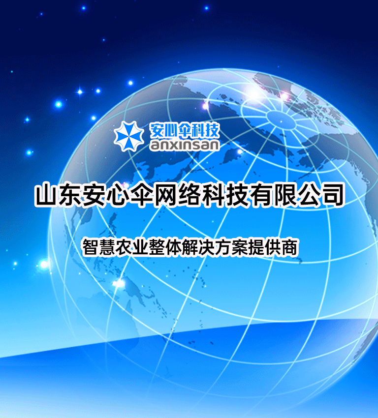 山東安心傘網絡科技有限公司