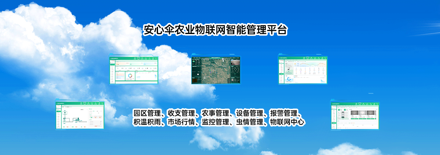 山東安心傘網絡科技有限公司