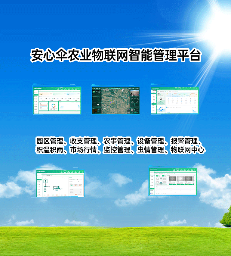 山東安心傘網絡科技有限公司